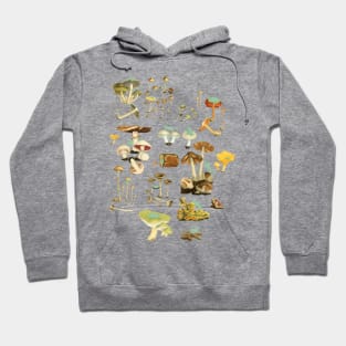 Feline Fungus! Hoodie